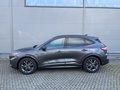 Daumennagel 8 - Ford Kuga ST-Line