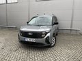 Daumennagel 1 - Ford Tourneo Courier Titanium