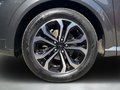 Daumennagel 9 - Ford Puma ST-Line