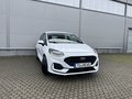 Daumennagel 3 - Ford Fiesta ST-Line