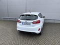Daumennagel 6 - Ford Fiesta ST-Line