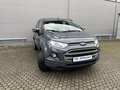 Daumennagel 2 - Ford EcoSport Trend