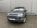 Daumennagel 1 - Ford EcoSport Trend