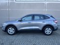 Daumennagel 4 - Ford Kuga Cool & Connect