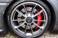 Daumennagel 14 - Porsche 991 GT3  Motorkennbuchstabe G 60631 Approved