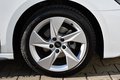Daumennagel 13 - Audi A3 Sportback 35 TFSI S line 1.Hand Unfallfrei