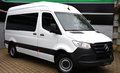 Daumennagel 1 - Mercedes-Benz Sprinter III Tourer 315 CDI L2 Kamera Navi