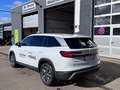 Daumennagel 5 - Skoda Kodiaq Selection NEU 2.0 TDI 4x4 /WSS beheizbar/Matrix LED/Canton