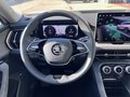 Daumennagel 11 - Skoda Kodiaq Selection NEU 2.0 TDI 4x4 /WSS beheizbar/Matrix LED/Canton