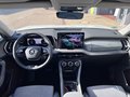 Daumennagel 13 - Skoda Kodiaq Selection NEU 2.0 TDI 4x4 /WSS beheizbar/Matrix LED/Canton