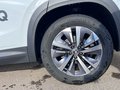 Daumennagel 15 - Skoda Kodiaq Selection NEU 2.0 TDI 4x4 /WSS beheizbar/Matrix LED/Canton