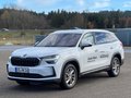 Daumennagel 2 - Skoda Kodiaq Selection NEU 2.0 TDI 4x4 /WSS beheizbar/Matrix LED/Canton
