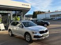 Daumennagel 7 - Skoda Kamiq 130 LET 1.0 TSI DSG 5 Jahre Garantie