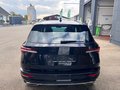 Daumennagel 5 - Skoda Karoq Sportline 1.5 TSI DSG