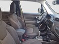 Daumennagel 16 - Jeep Renegade PHEV High Upland Komfort+Winter+SichtP