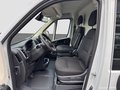 Daumennagel 9 - Fiat Ducato L4H2 Kastenwagen 35 180 Autom Maxi Carplay