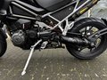 Thumbnail 19 - Triumph Tiger 1200 GT PRO MY26 Adaptives Fahrwerk