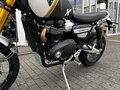 Daumennagel 10 - Triumph Scrambler 1200 XE MY26 Kurven-ABS