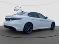 Thumbnail 5 - Alfa Romeo Giulia Tributo Italiano 2.2D Technologie-Paket