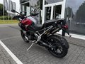 Thumbnail 6 - Triumph Tiger 1200 GT Explorer Aktionspreis!