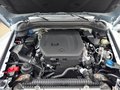 Daumennagel 20 - Ineos Grenadier Station Wagen 3.0 Diesel MY26 AHK