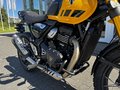 Daumennagel 12 - Triumph Scrambler 400XC NEU! Sofort Verfügbar