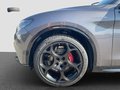 Thumbnail 19 - Alfa Romeo Stelvio Veloce 2.2D Q4 Harman Kardon+21 Zoll+AHK