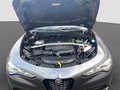 Thumbnail 19 - Alfa Romeo Stelvio Veloce 2.2D Q4 eAHK+Techno-Paket