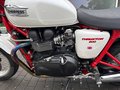 Daumennagel 13 - Triumph Thruxton 900 Kurzes Heck+Top Zustand