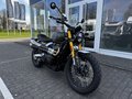 Thumbnail 2 - Triumph Scrambler 900 MY26 Sofort Verfügbar!