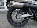 Thumbnail 10 - Triumph Scrambler 900 MY26 Sofort Verfügbar!