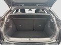 Daumennagel 18 - DS Automobiles DS 3 Crossback Alcantara+SitzHzg+AHK+GJReifen