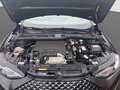 Daumennagel 19 - DS Automobiles DS 3 Crossback Alcantara+SitzHzg+AHK+GJReifen