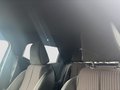 Daumennagel 21 - DS Automobiles DS 3 Crossback Alcantara+SitzHzg+AHK+GJReifen