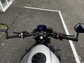 Daumennagel 17 - Triumph Speed Triple 1200 RS MY25 Sofort Verfügbar