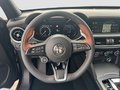 Daumennagel 10 - Alfa Romeo Stelvio 2.2 Diesel Intensa Q4 Leder, Navi,AHK