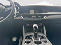 Daumennagel 15 - Alfa Romeo Stelvio 2.2 Diesel Intensa Q4 Leder, Navi,AHK