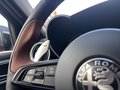 Thumbnail 30 - Alfa Romeo Giulia Intensa Q4