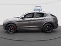 Daumennagel 2 - Alfa Romeo Stelvio Quadrifoglio Q4 Panorama Glasschiebedach