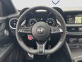 Daumennagel 15 - Alfa Romeo Stelvio Quadrifoglio Q4 Panorama Glasschiebedach