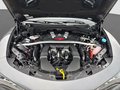 Daumennagel 29 - Alfa Romeo Stelvio Quadrifoglio Q4 Panorama Glasschiebedach