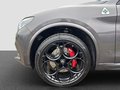 Daumennagel 30 - Alfa Romeo Stelvio Quadrifoglio Q4 Panorama Glasschiebedach