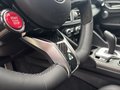 Daumennagel 14 - Alfa Romeo Giulia Quadrifoglio 2.9 V6 Akrapovic+TechnoPaket