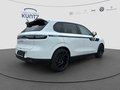 Daumennagel 5 - Leapmotor B10 Dynamic Irmscher Limited Edition