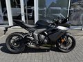 Daumennagel 3 - Triumph Daytona 660 1. Hand+A2-möglich