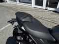 Daumennagel 13 - Triumph Daytona 660 1. Hand+A2-möglich