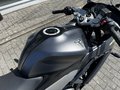 Daumennagel 14 - Triumph Daytona 660 1. Hand+A2-möglich