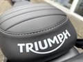 Thumbnail 19 - Triumph Speed 400 Roadster-Fahrwerk+ABS