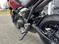 Thumbnail 22 - Triumph Speed 400 Roadster-Fahrwerk+ABS
