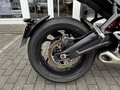 Daumennagel 8 - Triumph Trident 660 MY26 Quickshifter